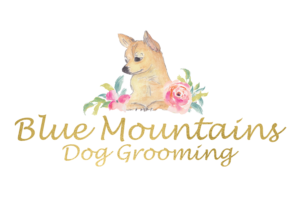 katoomba dog grooming