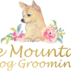 Blue Mountains Dog Grooming